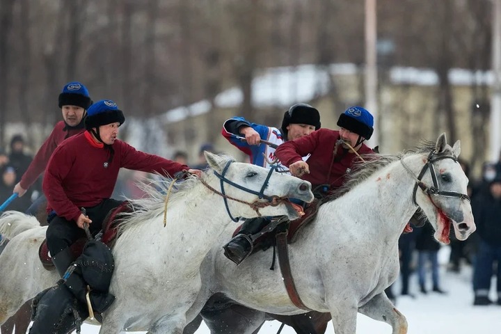 Прокуратура проверит информацию о жестоком обращении с лошадьми во время народной игры кок-бору