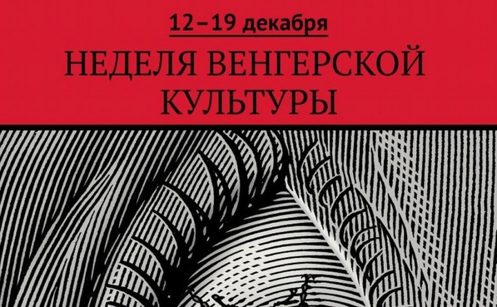 Готовить венгерские блюда научатся гости Недели венгерской культуры в Ижевске