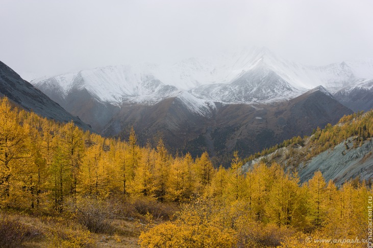 Алтайский край - Фото - Национальный акцент