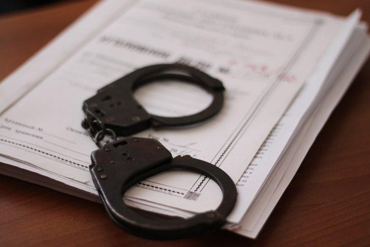 Жителя Красноярска обвинили в экстремизме за картинки с медведем и инопланетянином