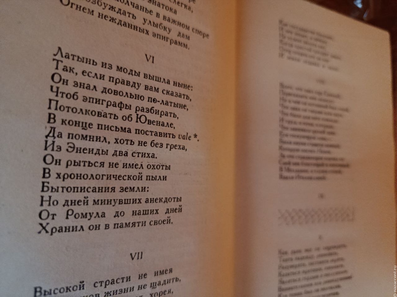 Русский язык поднялся на четвертое место в рейтинге языков мира