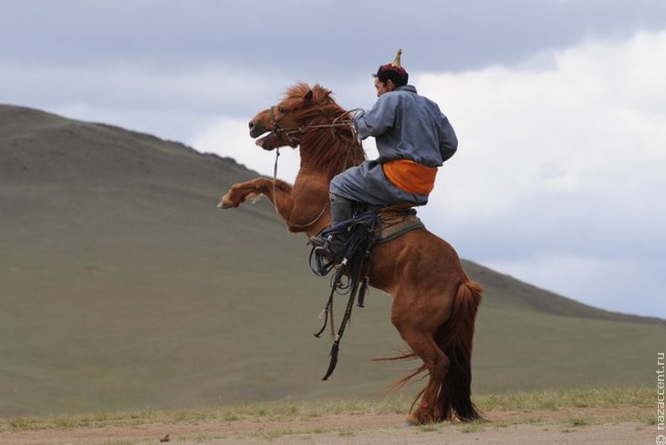 Монголия глазами нашего корреспондента Д.Федотова - Национальный акцент