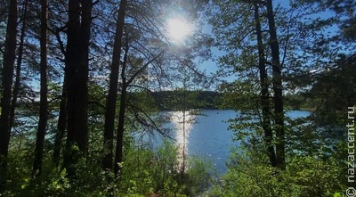 Между небом и человеком