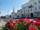 Вишневое раздолье – во Владимире гастробренду посвятили праздник