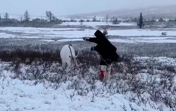 Популярные блогеры поселились в стойбище ненцев-оленеводов