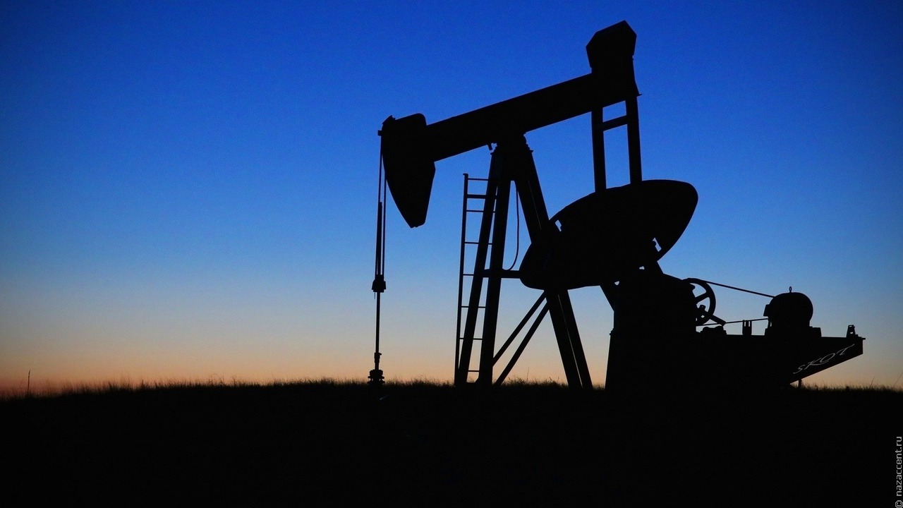 Нганасанская община Таймыра пожаловалась на нефтегазовую компанию