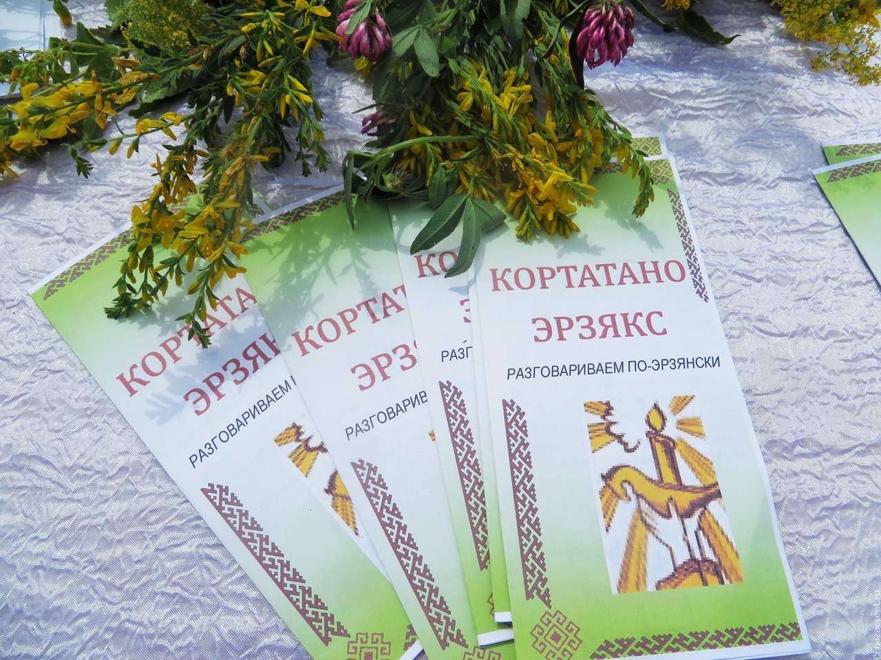 Диктант на мордовских языках написали более 3,5 тысячи человек