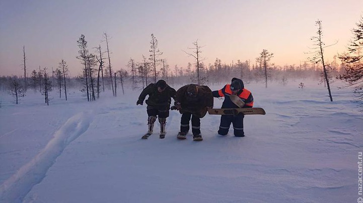 Ямальский тундровик выжил после трех дней в обледенелом лесу