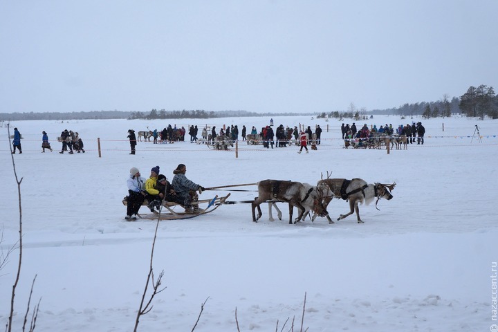 Этнодеревня коренных народов с оленями появится на Сахалине
