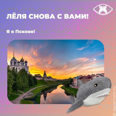Акула Лёля Красноярская в Пскове