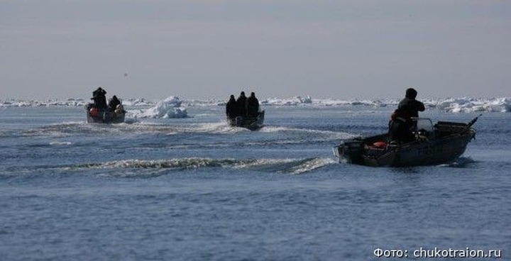 Чукотские морзверобои из общины коренных народов открыли сезон морской охоты