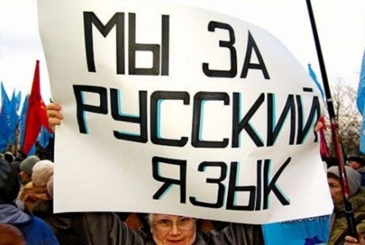 Закон о родном русском языке рассмотрят в Госдуме осенью