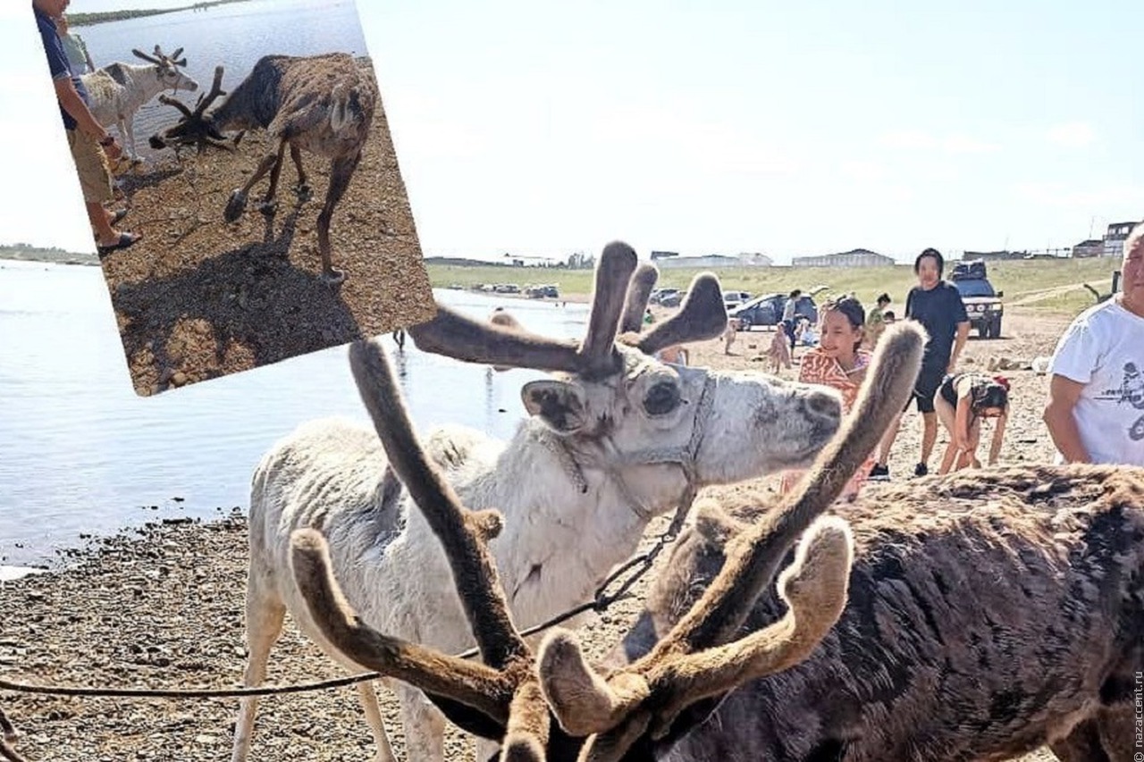 Далеко и тепло