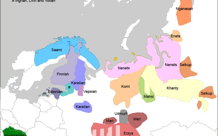 Выборы на Всемирный конгресс финно-угорских народов: скандалы и админресурс