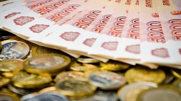 В 2018 году сумма президентских грантов уменьшится почти вдвое