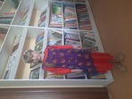 Чупрунова Анжелика Анатольевна