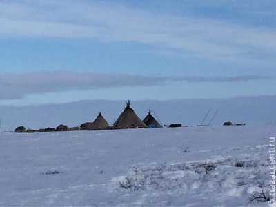 Коренные малочисленные народы Севера смогут получить "арктическую" ипотеку