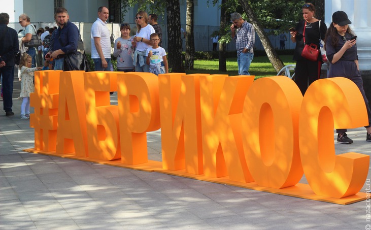Многонациональный "Абрикос" в Москве - Национальный акцент