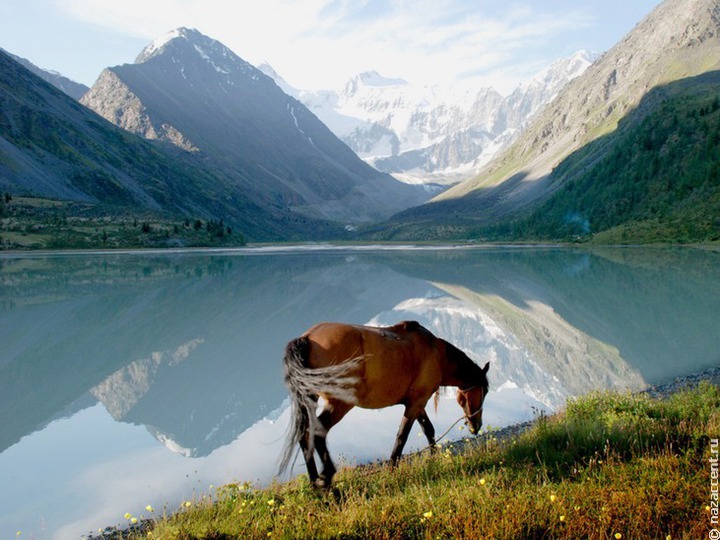 Российские туристы назвали Алтай, Дагестан и Татарстан лучшими этническими республиками для поездки