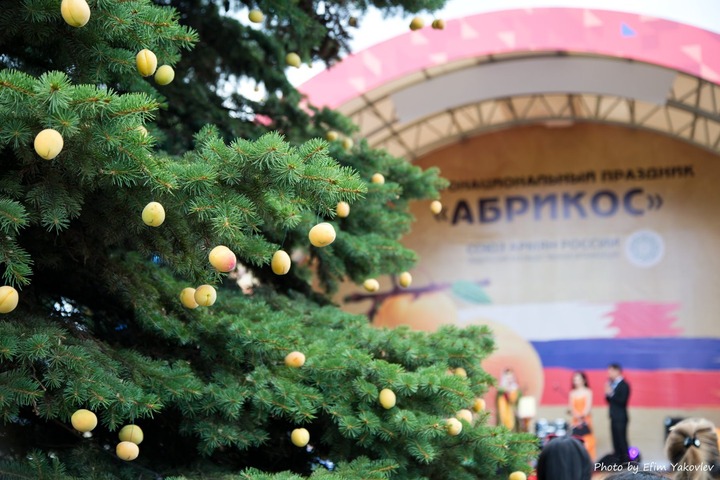 Абрикосовую елку поставили на празднике "Абрикос" в Москве