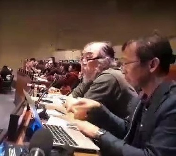 В ООН заявили о фейковых экспертах от коренных народов