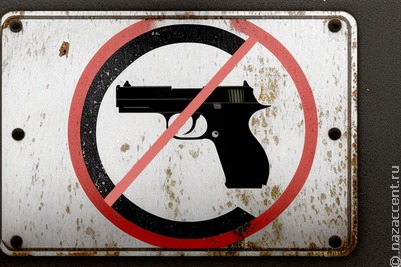 В Госдуме предложили запретить иностранцам покупать оружие