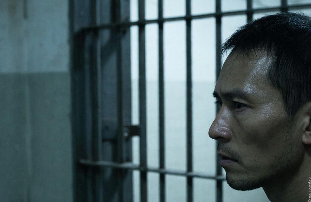 В России на 22% выросло число преступлений по подделке миграционных документов