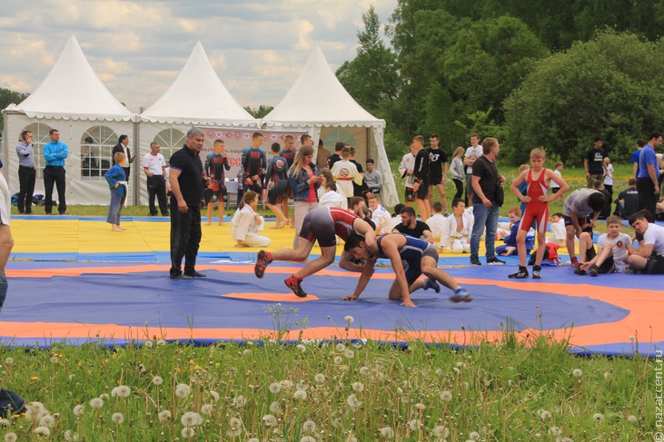 Фестиваль национальных видов спорта "Русский мир" в Истре - Национальный акцент