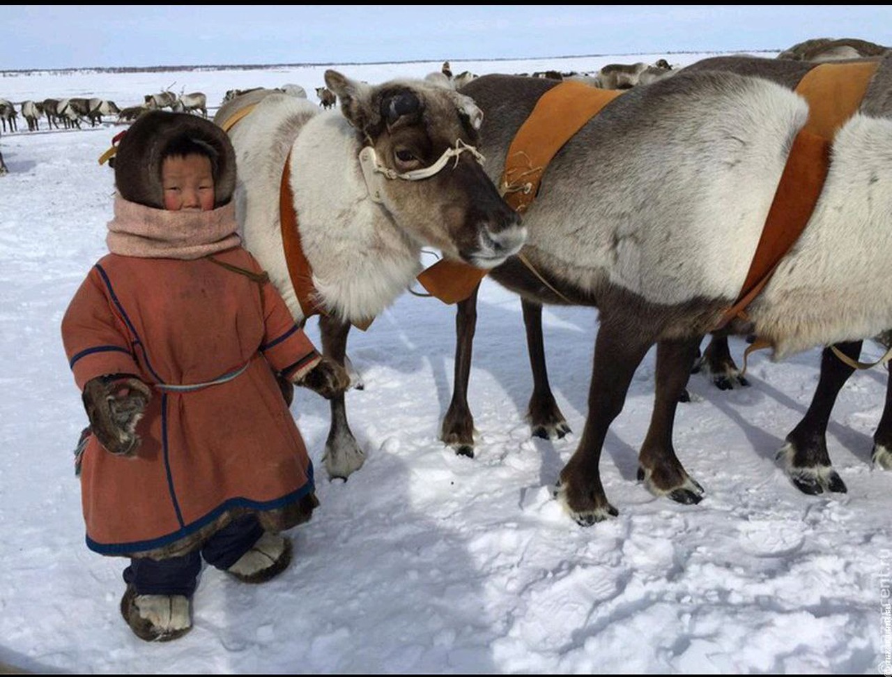 Владимир Путин упростил кочевым народам регистрацию по месту жительства