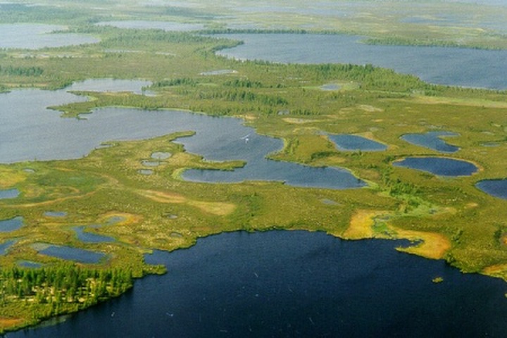Надымская молодежь приобщится к культуре предков