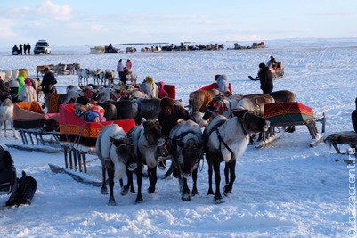 День оленевода-2026 стартует на Ямале 14 февраля