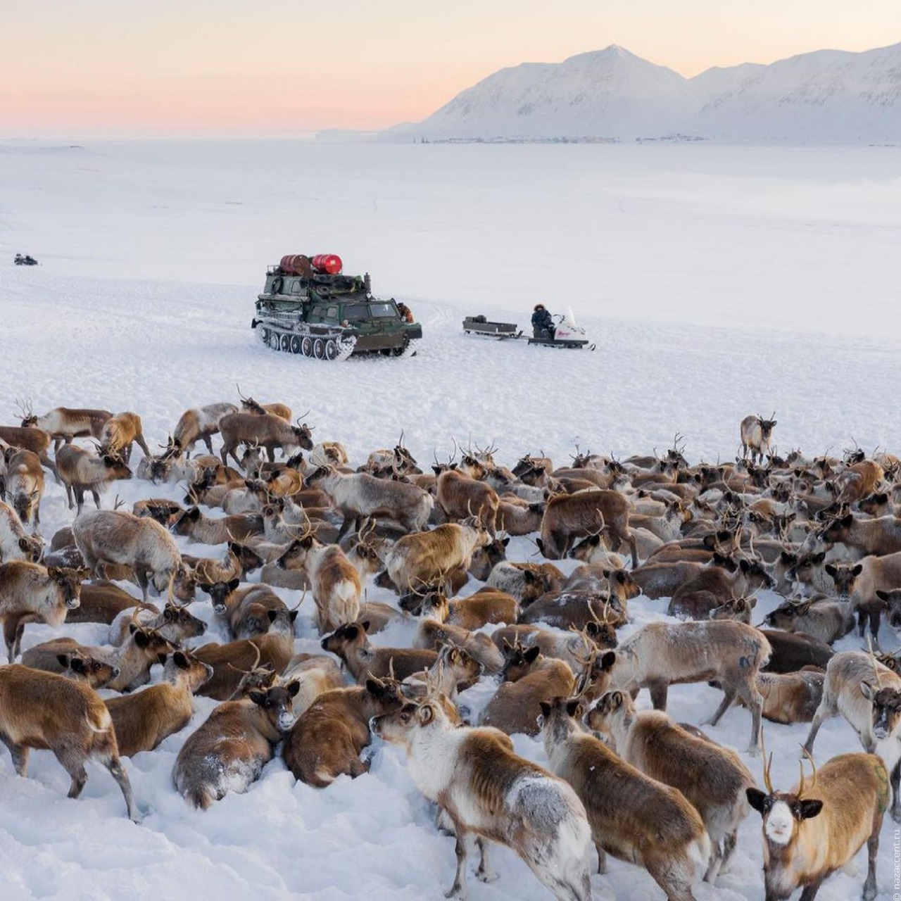 Новосибирский фотограф поделился фотографиями чукотских оленеводов