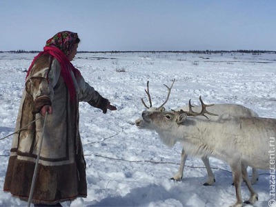 Томские ученые будут сотрудничать с коренными малочисленными народами Ямала