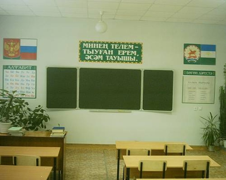 В Уфе и Казани прошли пикеты за добровольное изучение национального языка