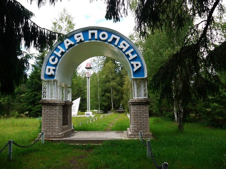 Тульские власти намерены снести цыганский самострой в Ясной Поляне