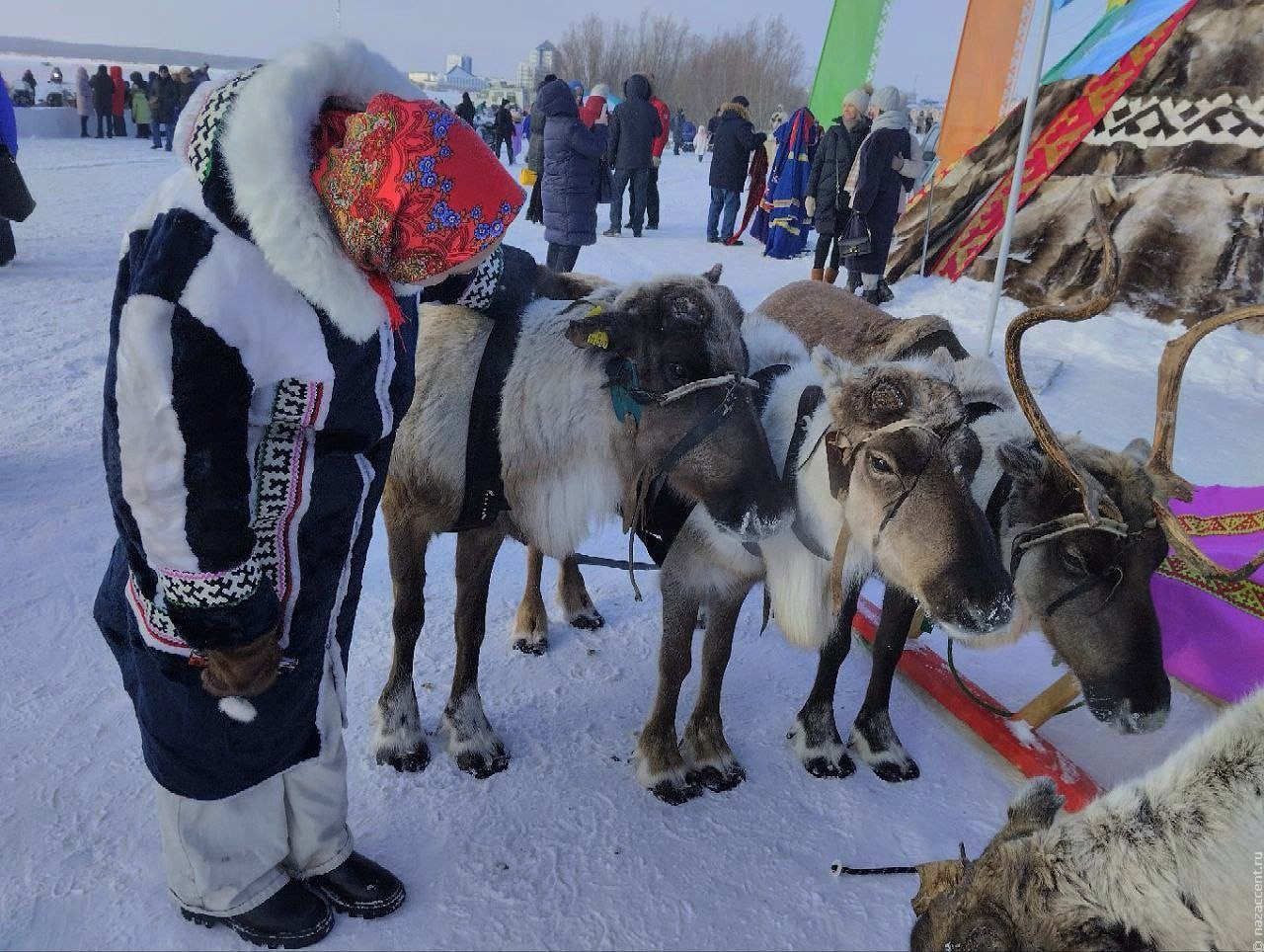 Сила и точность: древний ритуал северных кочевников 