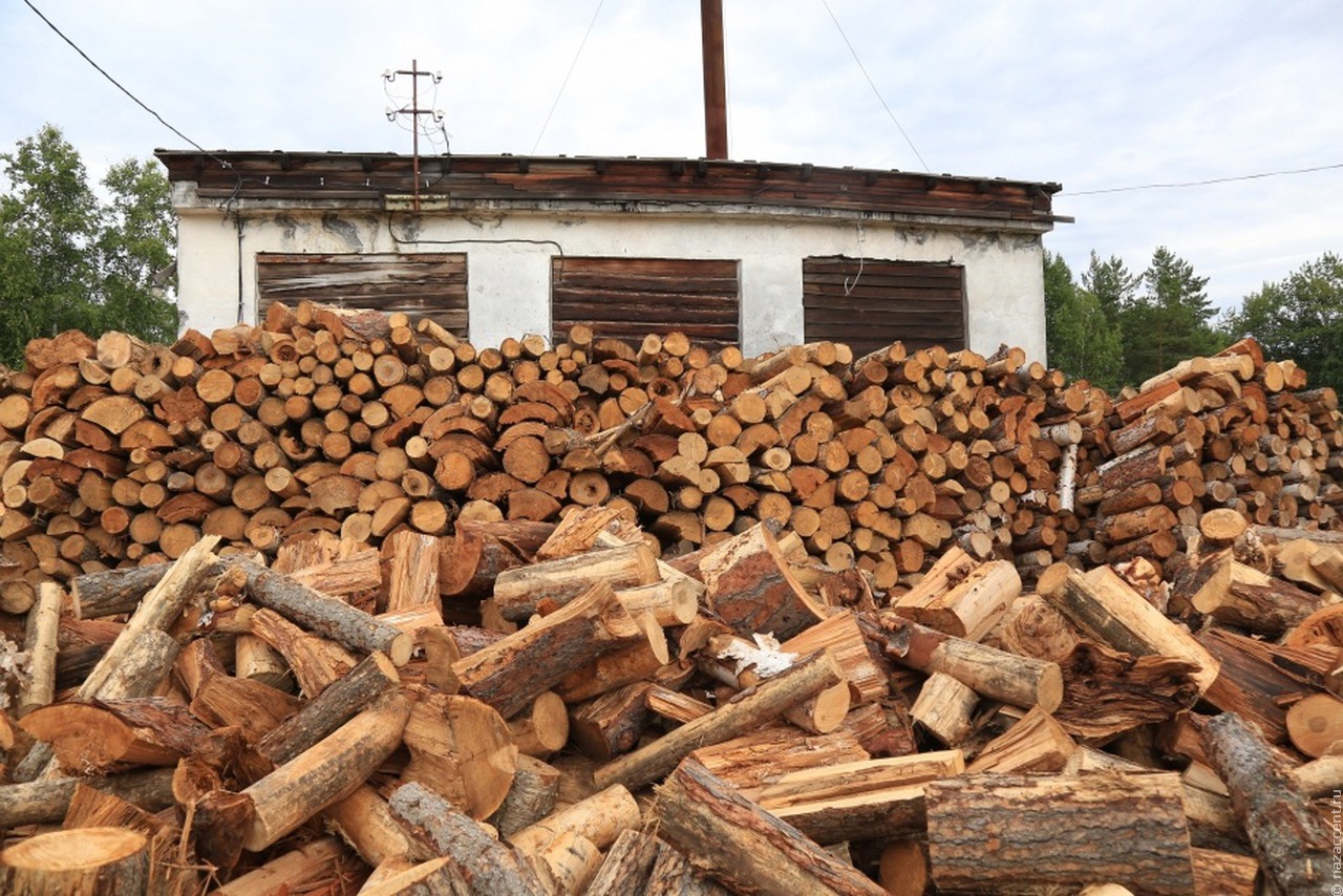 Коренным малочисленным народам Камчатки разрешат бесплатно заготавливать древесину
