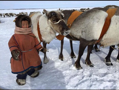 Владимир Путин упростил кочевым народам регистрацию по месту жительства