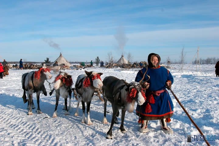 Санкт-петербургские ученые переселятся в чум к ямальским оленеводам