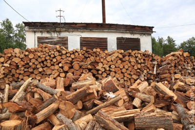 Коренным малочисленным народам Камчатки разрешат бесплатно заготавливать древесину