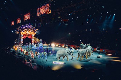 В Ижевске проверяют выступление цирковых животных со свастикой