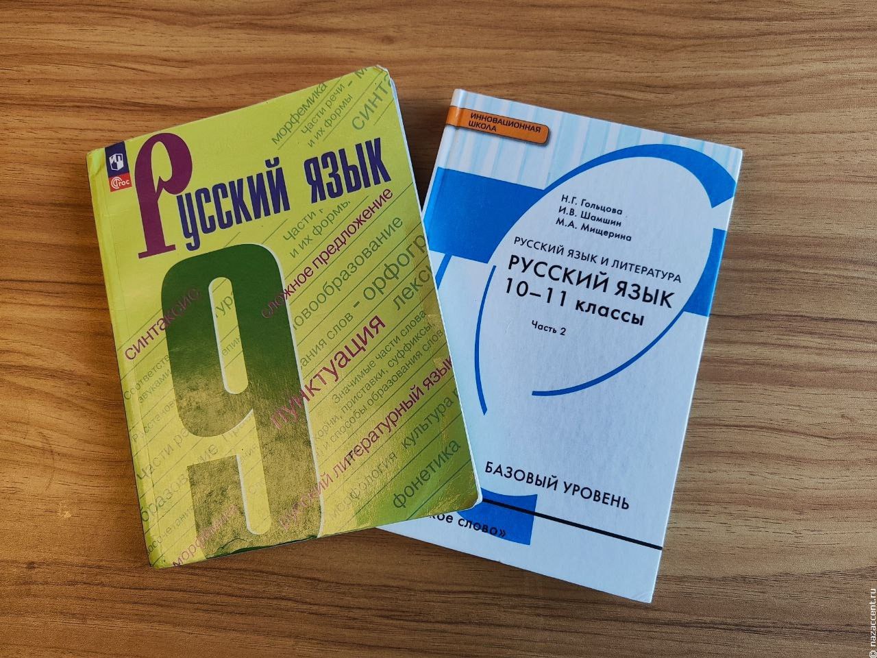 В России создали экспертную комиссию по вопросам преподавания русского языка и литературы