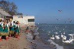 Болотников Олег Робертович