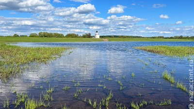 Законопроект о защите религиозных символов принят в первом чтении