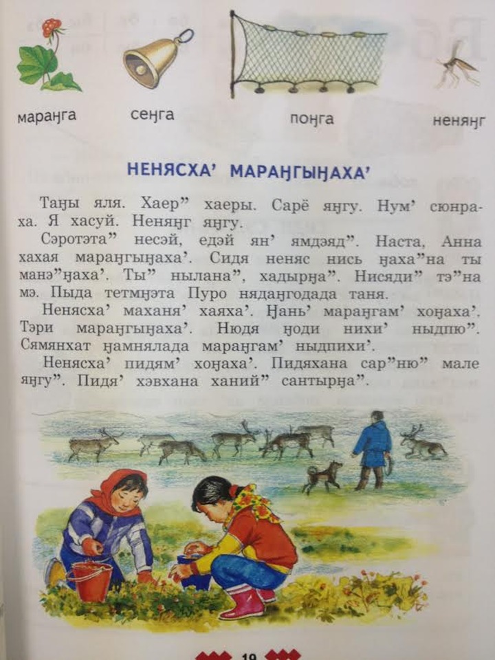 Началась разработка новых учебников на ненецком и хантыйском языках