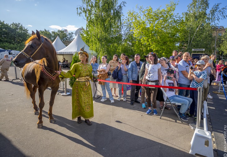 Фестиваль национальных пород лошадей в Москве - Национальный акцент