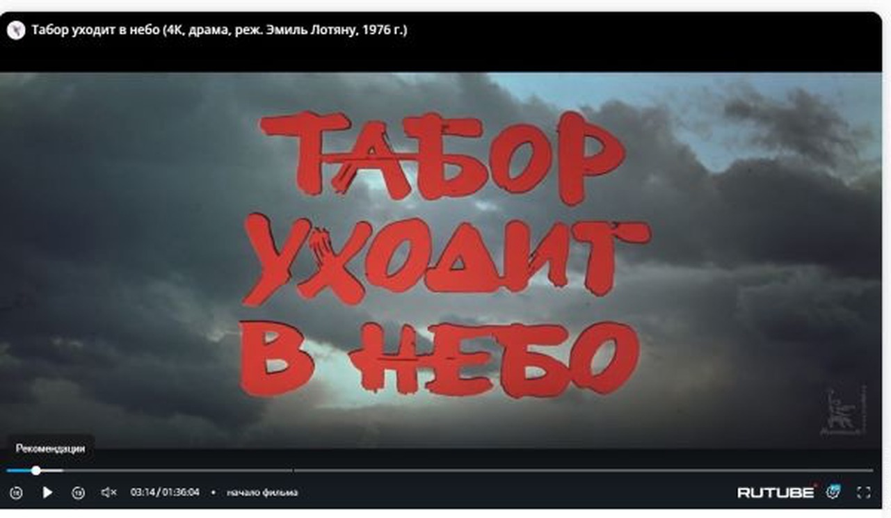 ЗАКОНЫ РОМА: ЖИЗНЬ ЦЫГАН В СОВРЕМЕННОМ МИРЕ