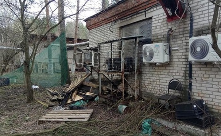 Еврейскую академию в Подмосковье подожгли накануне Песаха