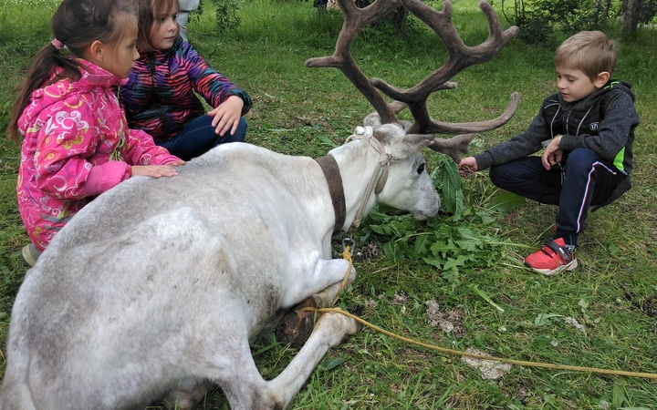 День коренных народов мира в Туломе