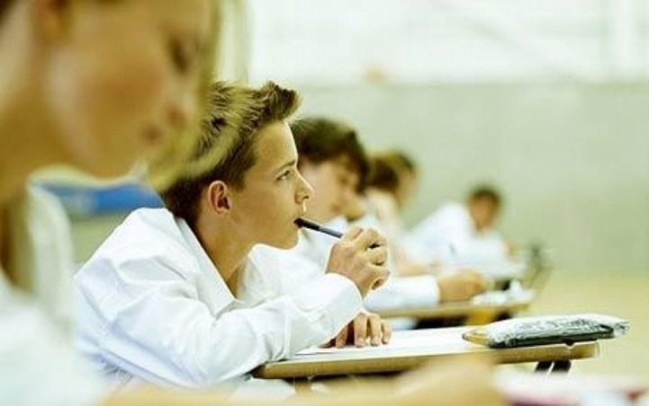 Школьников Татарстана проверили на знание татарского языка